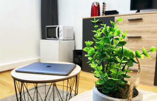 HOMEY TINY - Chambre privée - Située en Hyper-centre - Disney Plus et Wifi inclus - Sans SDB - Proche de Genève et des transports en commun - Foto 15