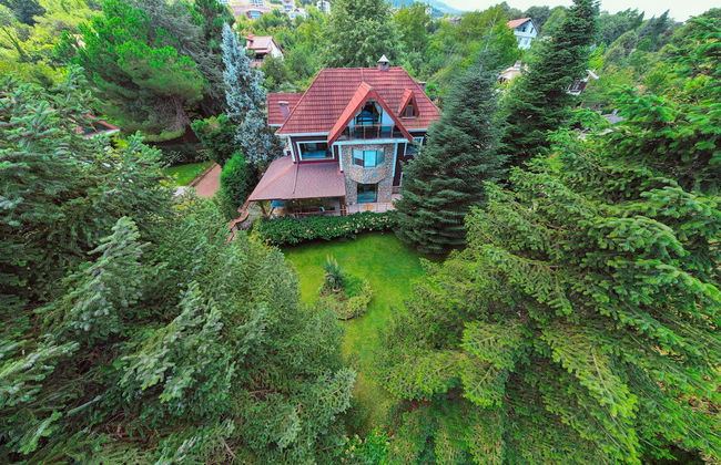 Bungalov Masukiye Villa - Foto 12