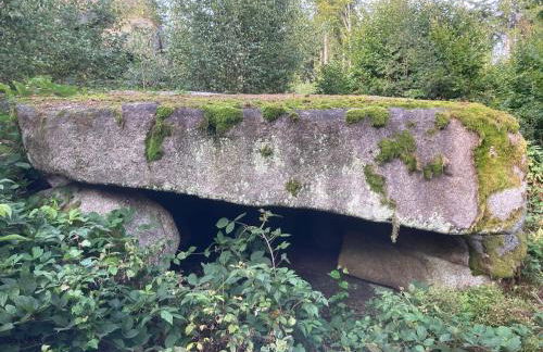 Idyllisches Häuschen im Grünen - Foto 30