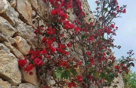 Apollo Romantic Sea View Villa - Photo 47