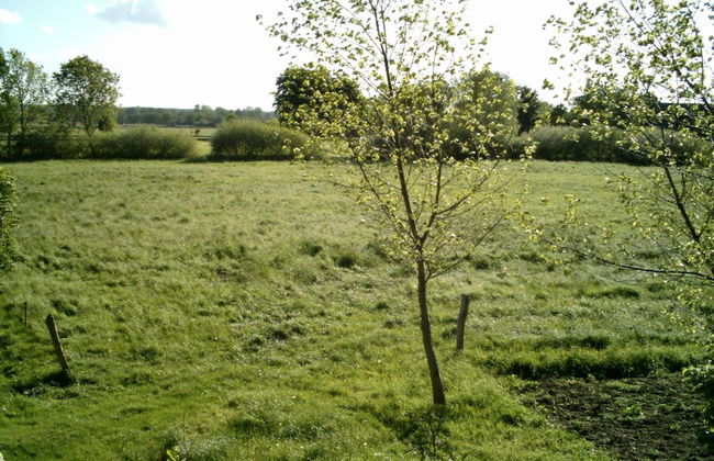Bungalow in Boergerende-rethwisch mit Sauna - Foto 27