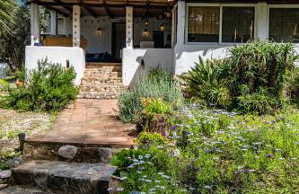 Finca el Agua da Vida (Los Eucaliptos & Los Olivos) - Foto 5