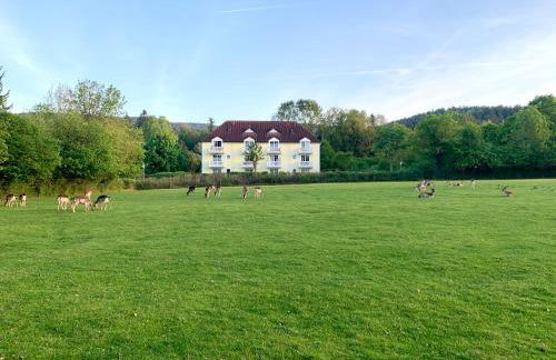 Lindners Hideaways - Gutshof Pine Retreat - Sauna - In Villa - Terrasse - Garten mit Rehgehege - Frühstück verfügbar - SKI - Arber - Osser - bis 5 Pers - Photo 26