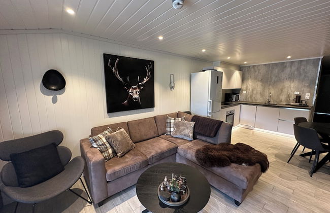 Ski Lodge & Apartments Gautefall - Foto 12