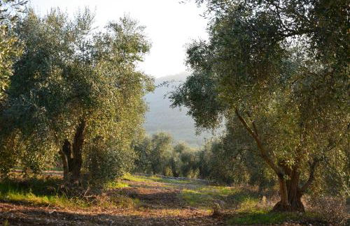 Torre Bruno - Foto 10