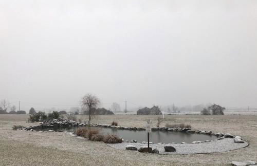 Agriturismo Bassanine - Foto 14