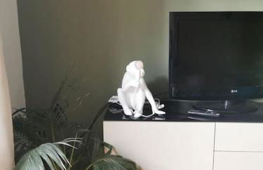 Arona 03 centralissimo ampio bilocale con garage - Foto 27