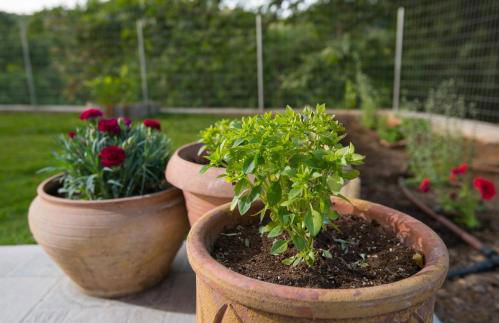 Athina's House - Foto 9