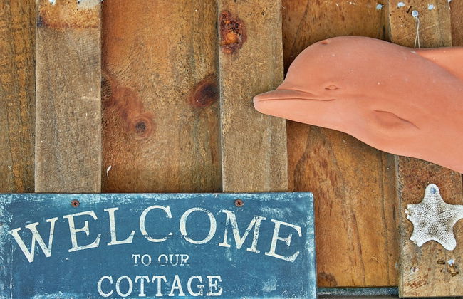 Barnacle Bills - Photo 22