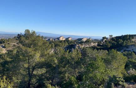 Mazet Le Micocoulier - Foto 31