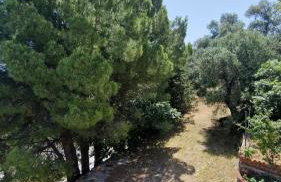 Efi Loutses - Foto 29