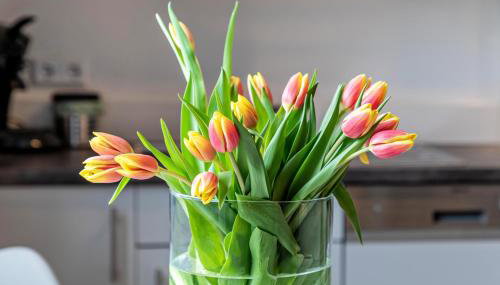 Ferienwohnung Am Weissgerber - Foto 2