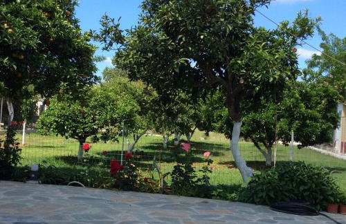 Kardiakafti Village - Foto 6