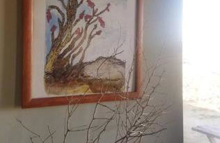 Steph's Panorama Paradise-Nat'l Park minutes away - Foto 49