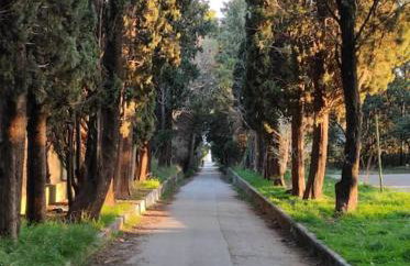 Mala Villa - Photo 4