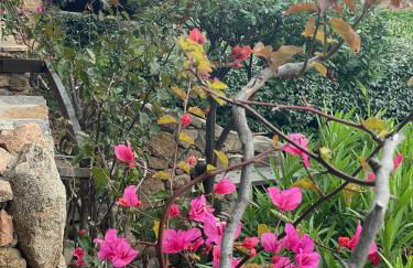 Relax Suite Villaggio Punta Volpe - Foto 29