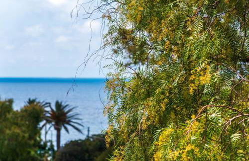 Residence Augusto - Foto 25