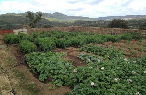 Casa Rural Monterrey Aroche - Foto 35