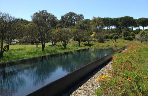 Quinta Do Miguel - Foto 1