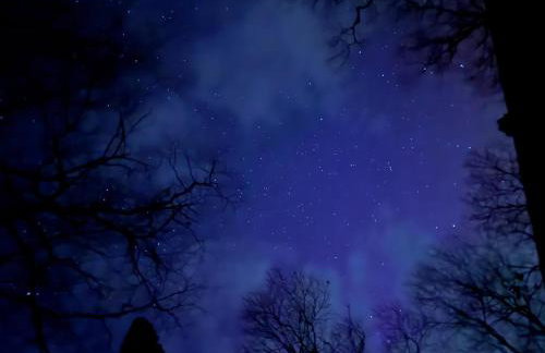 Loon Landing in Lake Tomahawk WI - Photo 46