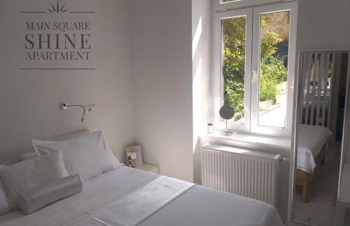 Luxurios and historic apartment "Shine" - right on the Main Square - Foto 53