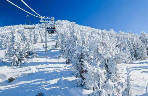 Mammoth Green 101 - Photo 28