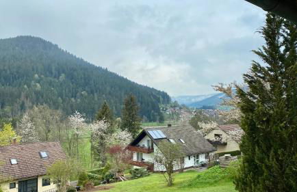 Black Forest Scenic Escape - Photo 12
