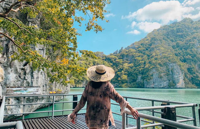 Escursione ad Ang Thong in barca - Foto 6