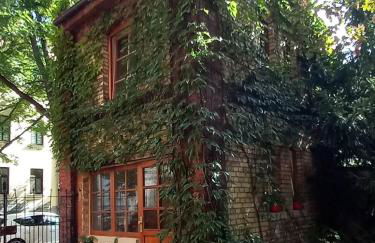 Die kleine Oase - Foto 11