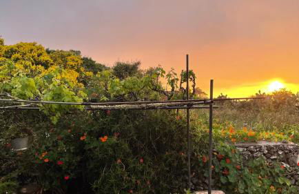 Casa Rural Casa & Monte - Foto 27