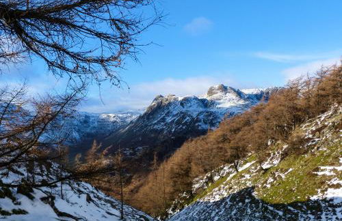 Yew - Woodland Cottages - Foto 28