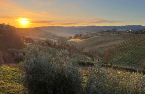 Vineyard Farmhouse in Massignano - Foto 33