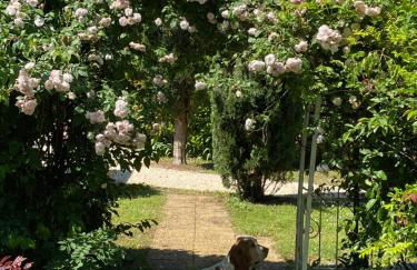 Gîte de charme Jas de Berrias Ardèche du Sud Piscine - Photo 15