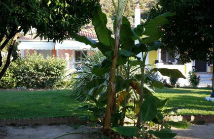 Elisabeth Villas - Foto 32