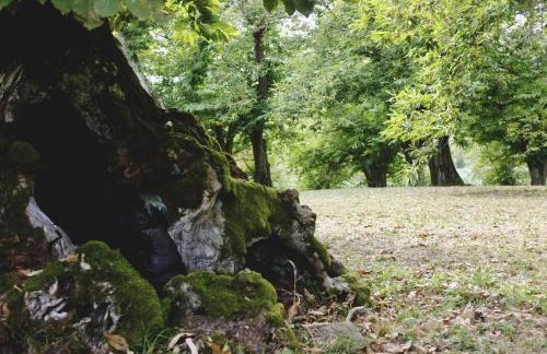 Casale Pomodoro - Foto 30