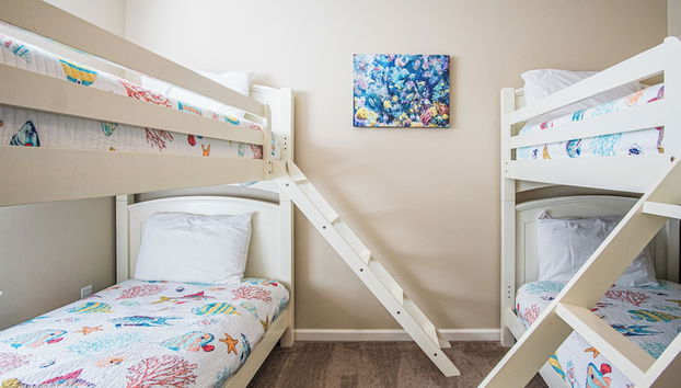 Servizio della struttura