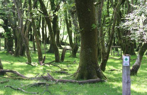 Swansea Valley Holiday Cottages - Foto 97