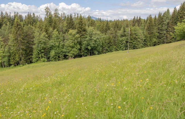 Apartment in Mooswald in Carinthia With Pool - Foto 27