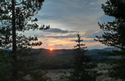 MAGAVE's House - Foto 26