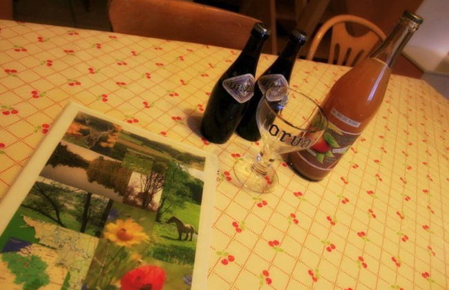 Modern Farmhouse in Chassepierre With Terrace - Photo 30