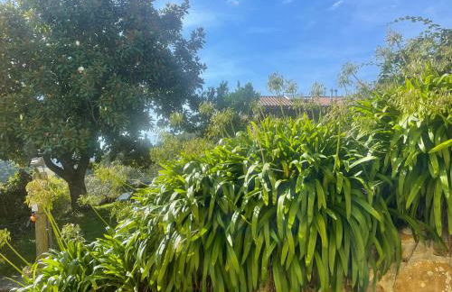 Alojamientos Rurales Peña Crespa - Foto 50