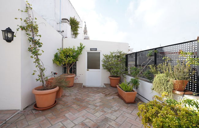 Numa Seville Alegre - Photo 37