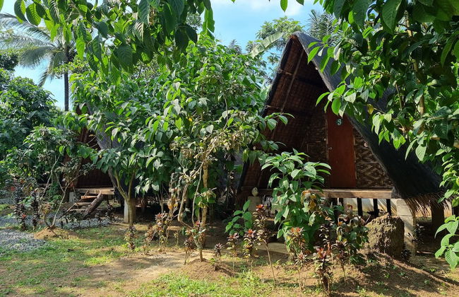 California Breeze Campsite - Foto 20