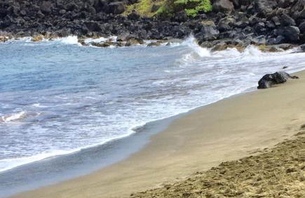 Da Kona West 305 - Foto 28