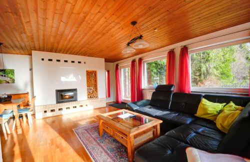 Ferienhaus am Feldberg - Photo 1