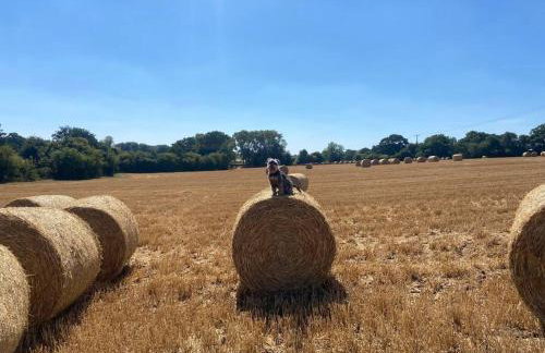 Coach House - detached cottage within 135 acres - Foto 38