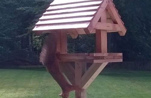 Craigie dhu, guest house - Photo 20