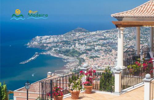 OurMadeira - Palheiro Eagle - Foto 27