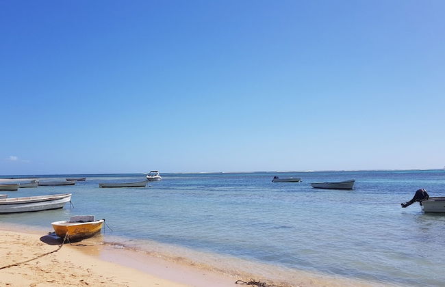 Allamanda Studios and Apartments - Photo 48