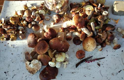 Villa Paula Pluski - Foto 35